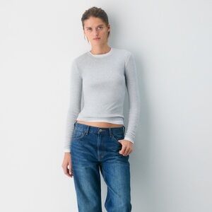 Aritzia HomeStretch Rib Solo Longsleeve in Heather Chrome